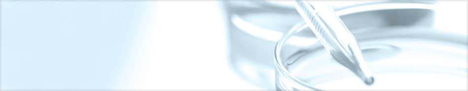 Scientific, Results Driven SEO and PPC