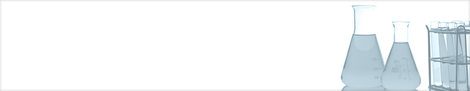 PPC Management Increase profit with paid search...
with conversion-focused and mathematical PPC