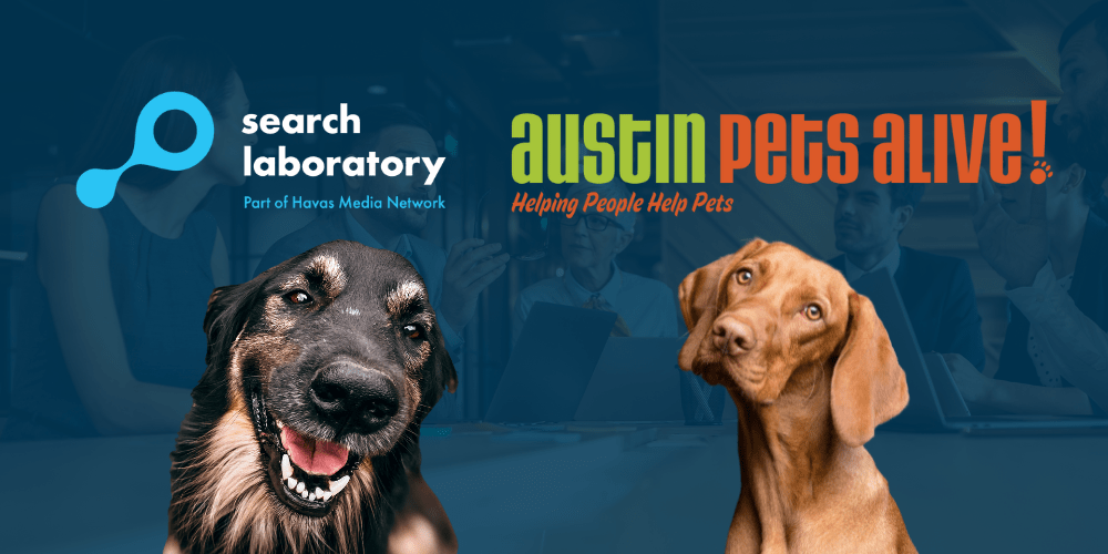 Search Laboratory partners with Austin Pets Alive