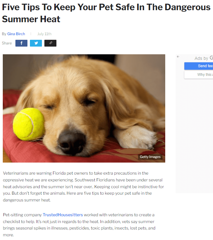 A screenshot from TrustedHousesitters How to keep pets safe in a heatwave content marketing campaign