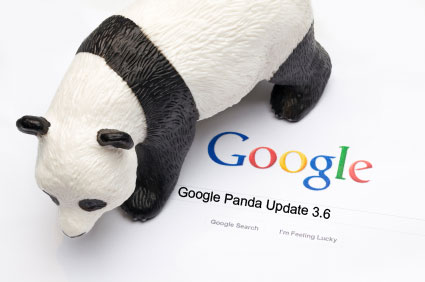 Google's Panda Update