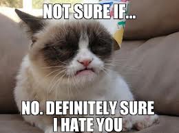 Grumpy cat meme