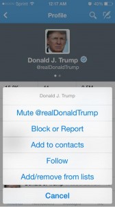 mute button