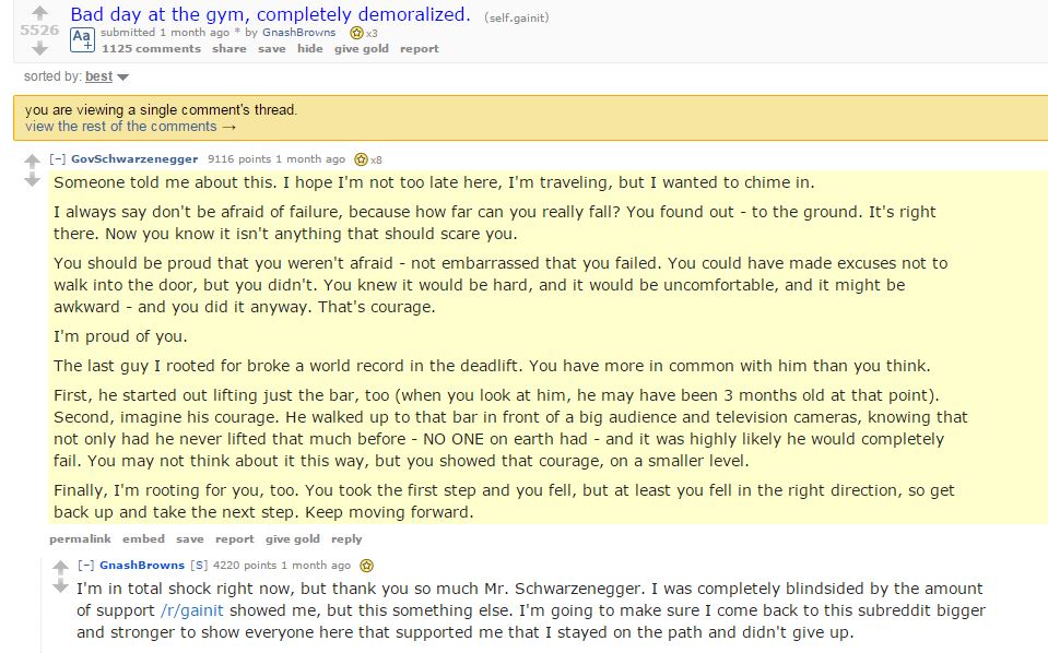 Movie star and former Governer of California Arnold Schwarzeneggar posts on Reddit in his spare time