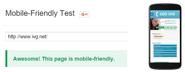 Mobile Friendly test – IVG.net 